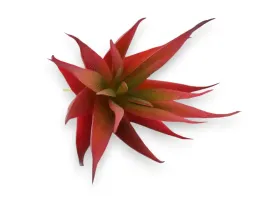 sukulent-sredni-agawa-roslina-sztuczna-typ-04