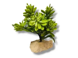 roslina-sztuczna-na-kamieniu-stoneplant-typ-17