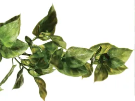 roslina-sztuczna-do-terrarium-amapallo-small-exo-terra