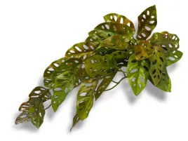 roslina-sztuczna-do-terrarium-zwis-monstera-65cm