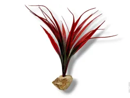 roslina-sztuczna-na-kamieniu-stoneplant-typ-03