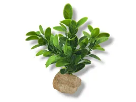 roslina-sztuczna-na-kamieniu-stoneplant-typ-25