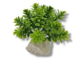roslina-sztuczna-na-kamieniu-stoneplant-typ-13