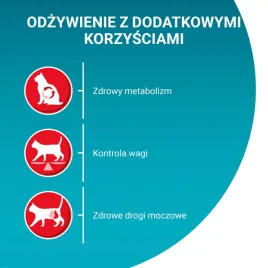 purina-one-bifensis-sterilcat-karma-dla-kotow-bogata-w-lososia-14-kg