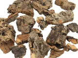 scinki-kora-debu-korkowego-cork-bark-cuts-1kg-stan-nowy