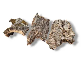 platy-kora-debu-korkowego-cork-bark-flats-350g