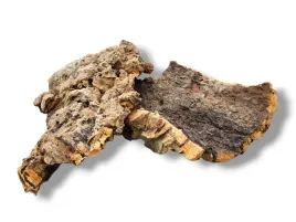 platy-kora-debu-korkowego-cork-bark-flats-1kg