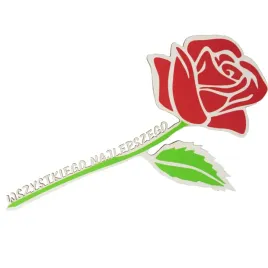 roza-prezent-idealny-na-dzien-kobiet-urodziny-imieninny-stylowa-z-napisem