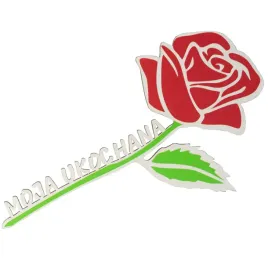 roza-prezent-idealny-na-dzien-kobiet-urodziny-imieninny-stylowa-z-napisem
