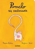 pomelo-sie-zastanawia