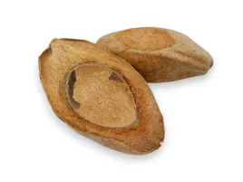 kokos-miska-kryjowka-15-20cm-coco-half-dish
