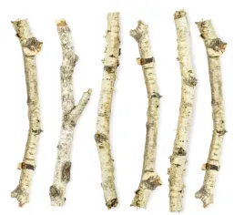 drazki-patyki-galezie-brzozowe-50-cm-6-sztuk