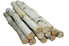 drazki-patyki-galezie-brzozowe-60-cm-6-sztuk