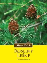 flora-polski-rosliny-lesne