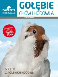 zwierzeta-hodowlane-golebie-chow-i-hodowla