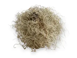 tillandsia-suszona-mech-hiszpanski-50g