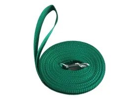 smycz-dla-psa-treningowa-mocna-tasma-3m-25cm-alepiesio