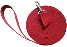 smycz-dla-psa-treningowa-mocna-tasma-3m-25cm-alepiesio