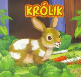 krolik-jafi-urszula-marcinek