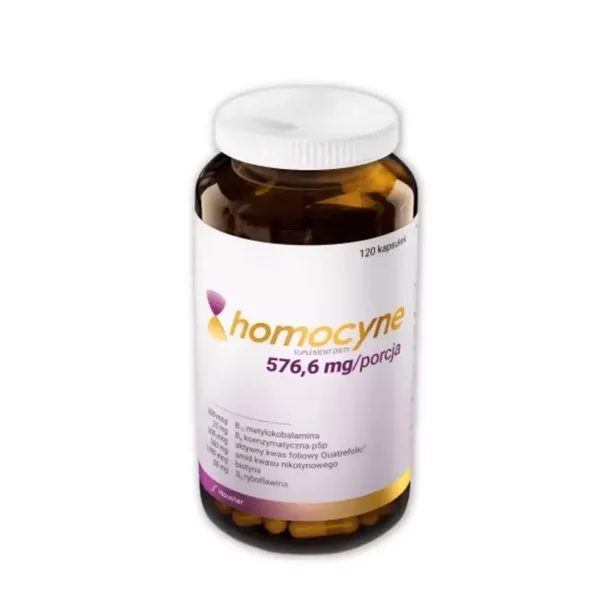 Hauster Homocyne 576,6 mg Homocysteina B-Complex 120 kapsułek