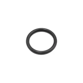 oring-14-2-can-am-wtrysku-420631296-420631295-oem