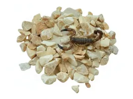podloze-desertmix-piasek-z-kamieniami-12-cm-idealne-do-terrariow-pustynn
