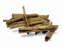 male-naturalne-patyczki-do-terrarium-little-stick-zestaw-20-szt