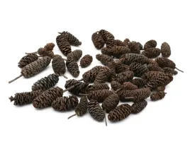 mikro-szyszki-do-detailingu-50g-80szt-susz-egzotyczny