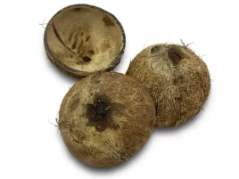 kryjowka-coco-cave-polowka-kokosa-8-11cm