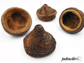 skorupka-chape-kryjowka-8cm