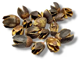skorupki-bakuli-do-detailingu-100g-40szt