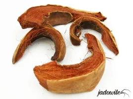 scinki-kokosowe-l-100g-susz-egzotyczny
