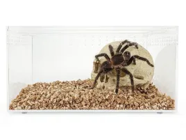 terrarium-akrylowe-dla-pajaka-skorpiona-105x85x6cm-bx51