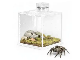male-terrarium-akrylowe-na-owady-i-pajaki-spidernook-75x75x73cm-terrario