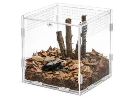 terrarium-akrylowe-terrario-15x15x15cm
