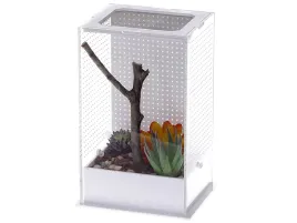terrarium-akrylowe-dla-modliszki-10x8x15cm-mantis-box-m-repti-zoo