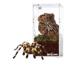 terrarium-akrylowe-wysokie-75x75x15cm-repti-zoo