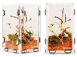 terrarium-akrylowe-dla-modliszki-skakuna-8x9x15cm-terrario