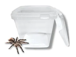 pojemnik-plastikowy-do-hodowli-12x12x12-11l