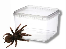 pojemnik-hodowlany-plastikowy-typu-braplast-19x19x115-3l