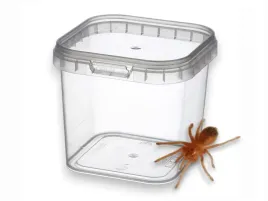 pojemnik-plastikowy-do-hodowli-8x8x7-0280l