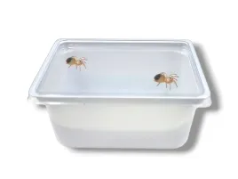 pojemnik-plastikowy-do-hodowli-bialy-11x85x5-250ml