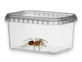 pojemnik-plastikowy-do-hodowli-12x9x65-0425l