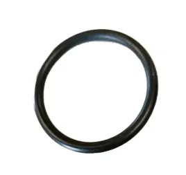 o-ring-295x3-nbr-70-karcher