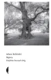 hajstry-w-2-adam-robinski