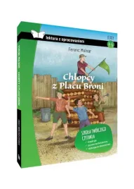 chlopcy-z-placu-broni-z-opracowaniem-tw