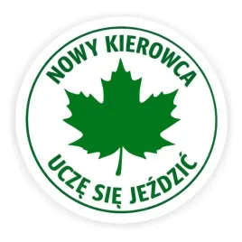 naklejka-zielony-listek-na-samochod-auto-szyba-kierowca-nowy-10x10cm-a269