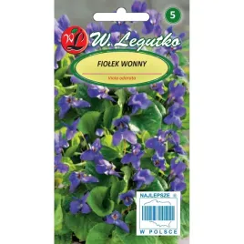 fiolek-wonny-fioletowy-03g-nasiona-w-legutko-345