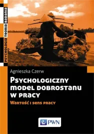 psychologiczny-model-dobrostanu-w-pracy