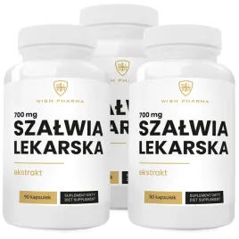 szalwia-lekarska-700-mg-rownowaga-organizmu-spokoj-trawienie-pot-wege-270k